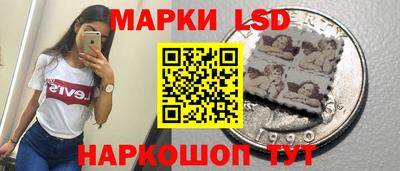 гидра Кандалакша