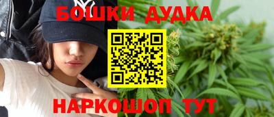 гидра Кандалакша