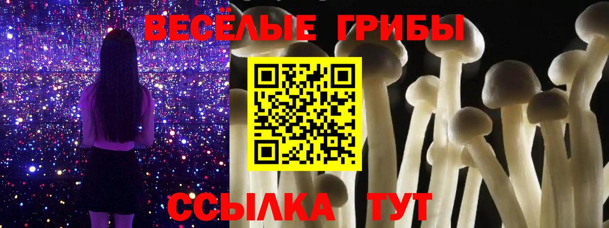 Кострома  Галлюциногенные грибы ЛСД  Вход с VPN 