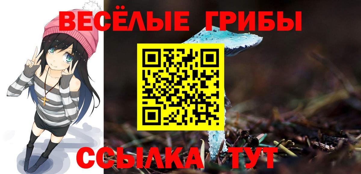 Галлюциногенные грибы MAGIC MUSHROOMS Кострома